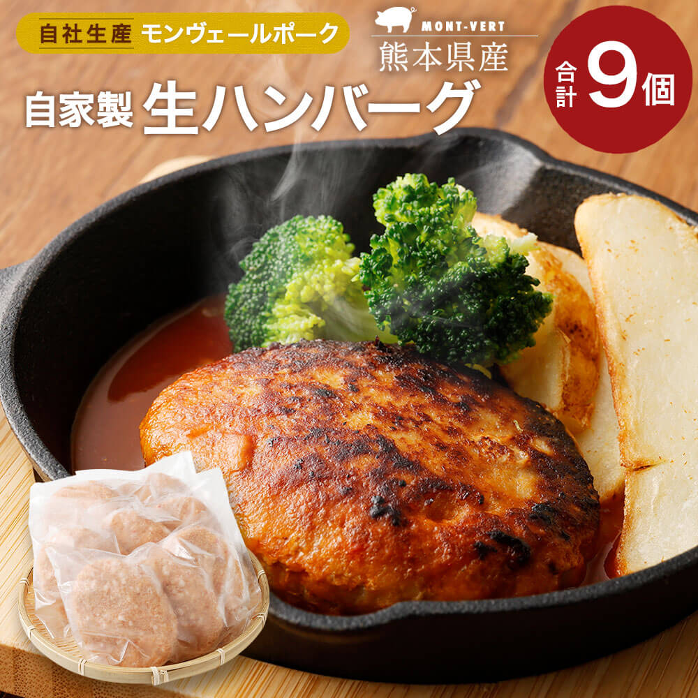 【ふるさと納税】【レビューキャンペーン実施中】モンヴェール農山 自家製 生ハンバーグ 120g×9個 (3個入り×3パック) セット 肉 加工品 加工肉 惣菜 冷凍 食品 詰め合わせ 九州産 熊本県 水俣市 送料無料
