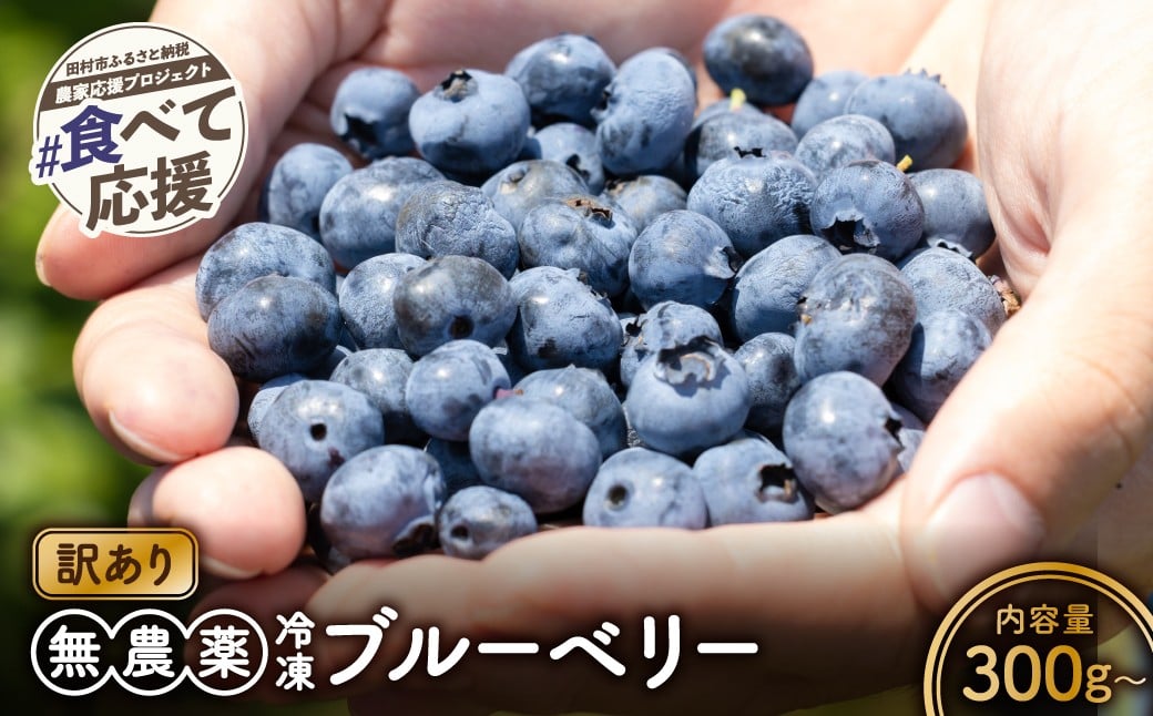 
            【選べる容量】 訳あり 冷凍ブルーベリー 300g 500g 無農薬 小分け フルーツ 果物 くだもの 手摘み 新鮮 ベリー お菓子作り ジャム ギフト 贈答 プレゼント 人気 ランキング 農家直送 10000 1万円 福島県 田村市 いずみの森ブルーベリー園
          