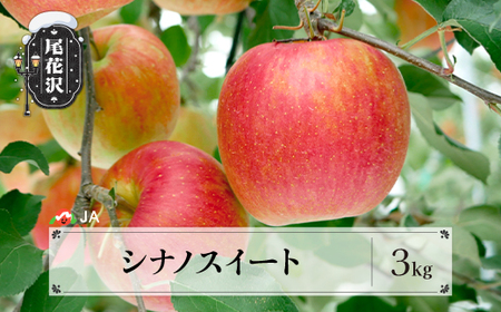 りんご シナノスイート 約3kg ◯秀 ja-rissx3