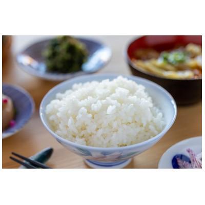 ふるさと納税 十日町市 【令和7年産】　魚沼産　新之助　5kg |  | 01