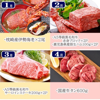 豪華定期便 12回配送　枕崎産伊勢海老　鹿児島県産黒毛和牛　黒豚【配送不可地域：離島】