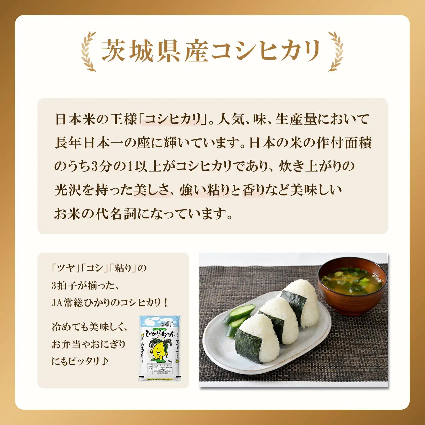 米 精米 R7年産 コシヒカリ 5kg 8月