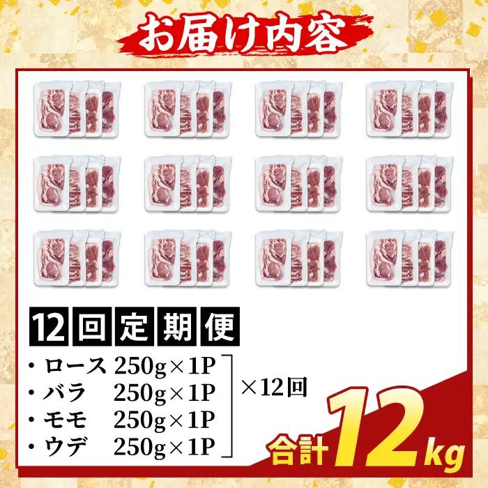 K-379-F ＜12回定期便＞鹿児島県産霜降りトロ豚 焼肉用バラエティセット(合計12kg)【ふるさと産直バザール】霧島市 ロース バラ ウデ モモ 焼き肉 ヤキニク 豚肉 国産 鹿児島県産 肉 精