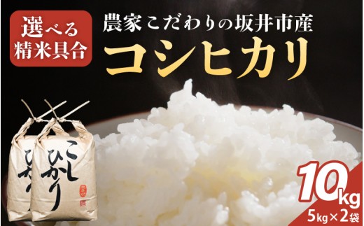 先行予約 【令和8年産】農家こだわりの坂井市産 コシヒカリ 10kg (5kg×2袋) 【白米】2026年10月上旬以降順次発送 【米 コメ お米 5キロ こしひかり ふるさと納税米 ブランド米 国産】 [A-10219_01]