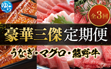 ＼新登場／ 【全3回定期便】 国産うなぎ 高級和牛 本マグロ ≪豪華三傑 定期便≫ 人気返礼品を3回お届け♪♪【tkb104】