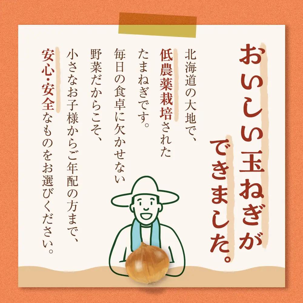 【先行予約】農家直送 低農薬 旭川産 玉ねぎＬサイズ20kg(2026年9月発送開始予定)_ | 玉ねぎ 05935