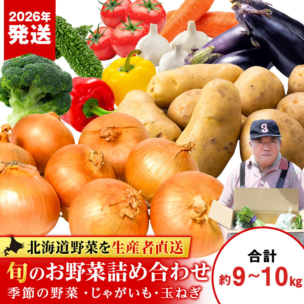 【ふるさと納税】2026年発送 夏の旬の夏野菜詰め合わせ 約9kg〜10kg《土居ファーム》野菜 やさい お楽しみ セット ランダム じゃがいも 玉ねぎ 北海道ふるさと納税 千歳市 ふるさと納税【北海道千歳市】 ギフト ふるさと納税