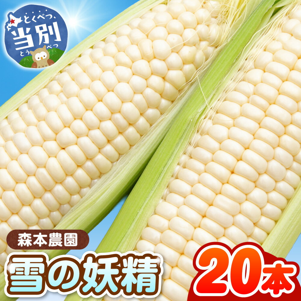 【ふるさと納税】 【2026年先行予約】 森本農園 とうもろこし 「雪の妖精」 20本セット トウモロコシ スイートコーン セット 雪の妖精 朝どれ 朝採れ もぎたて 新鮮 生でも食べられる たっぷり BBQ 北海道産 当別産 森本農園 北海道 当別町