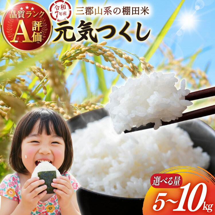 【ふるさと納税】 米 令和7年 元気つくし 5kg 10kg [福岡県 宇美町 um40azp240000-pa] 令和7年産 お米 おこめ こめ 精米 白米 5キロ 10キロ