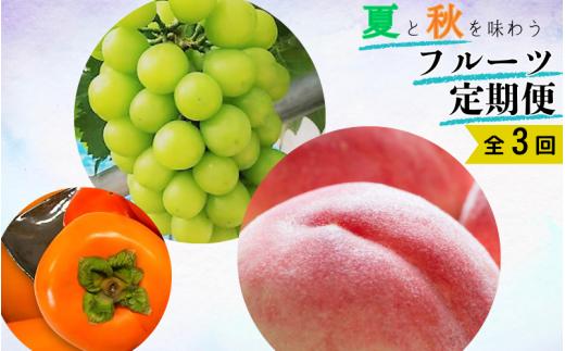
                  【3回定期便】【7・9・10月】夏と秋を味わうフルーツ定期便 (桃・マスカット・柿)【tkb370】
                