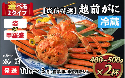 美味しさ直送！【成前特選】 越前がに（400g～500g）×2杯【11月～3月発送】 姿  [J-028047_06]