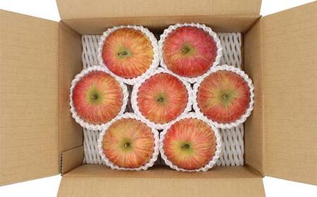 《2026年発送先行予約》山形県産 葉取らず完熟サンふじりんご 秀 約2kg 林檎 リンゴ フルーツ 果物 くだもの 山形県 中山町 F4A-1007