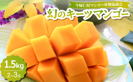 【2026年8月中旬から順次発送】今帰仁産の幻のキーツマンゴー1.5kg(2〜3玉)【配送不可地域：離島】【4014739】