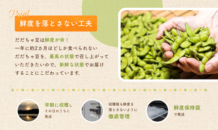 【令和６年産先行予約】だだちゃ豆(白山)　1.5kg（500g×3袋）小池喜左衛門ファーム　枝豆