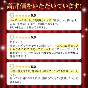 【先行予約】オーガニックあまおう「いせいちご」2パック(280g×2) _HA1116 | あまおう いちご