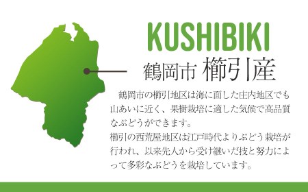 【令和8年産先行予約】シャインマスカット 1kg（2房）山形県鶴岡市産　さわかわ農園