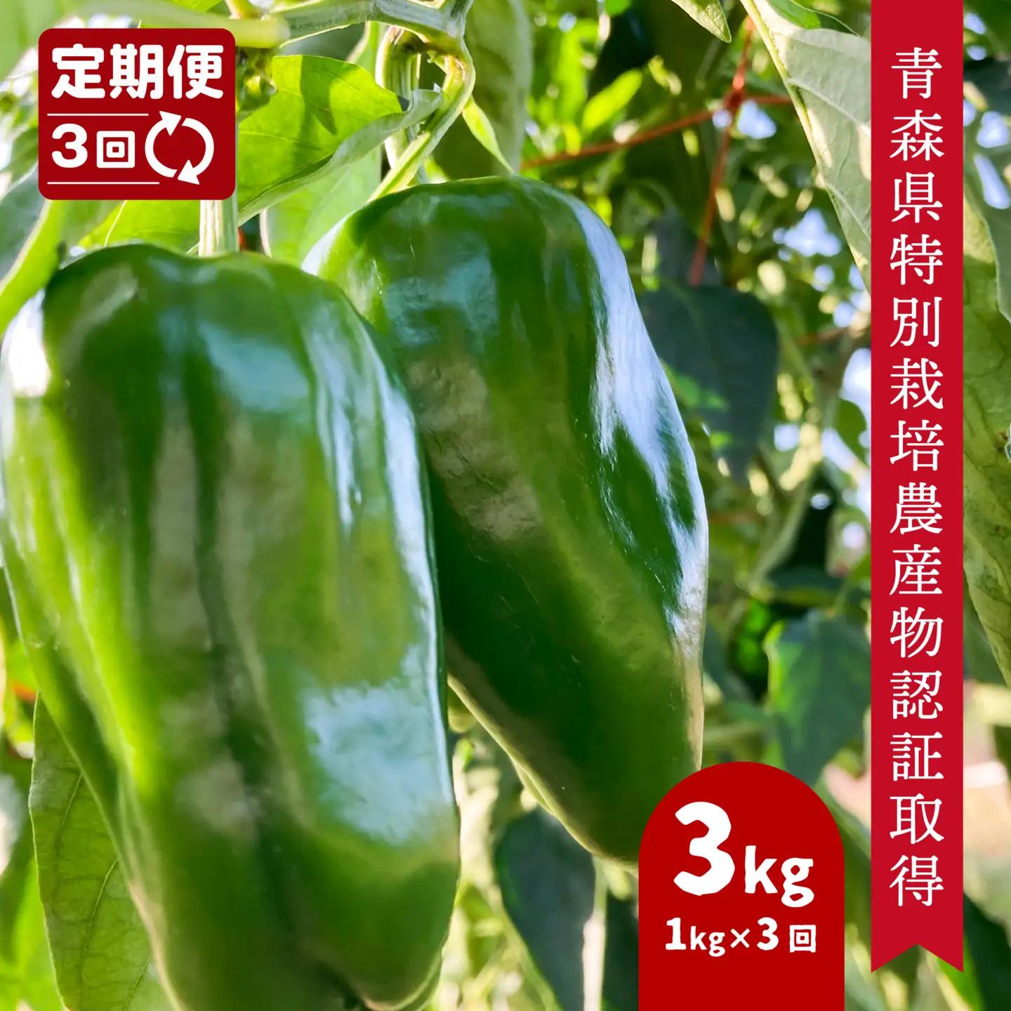 【3回定期便】 【青森県特別栽培】ピーマン 1kg ピクシー　