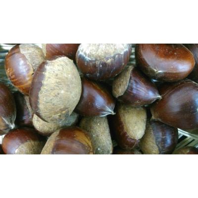 ふるさと納税 益城町 栗　3kg(サイズ2L〜M) |  | 02