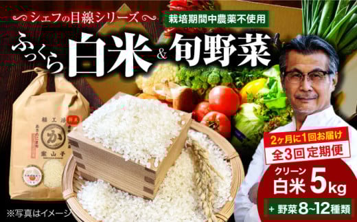【全3回】【2ヶ月に1回】【お米 5kg＋野菜】シェフの目線で厳選！クリーン白米 5kg+旬のお野菜セット【ふるさと納税限定】大洲市/（有）ヒロファミリーフーズ [AGBX040] お米 5kg 白米 5kg あきたこまち 野菜定期便 野菜 定期便 野菜 詰め合わせ 野菜セット 