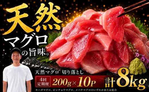【4回定期便】天然マグロ切り落とし 200g×10P│天然マグロ 切り落とし 刺身 マグロ丼 冷凍 高知県 ふるさと納税 キハダマグロ ビンチョウマグロ メバチマグロ 海鮮 お取り寄せ グルメ 時短 簡単調理 解凍するだけ 一口サイズ 手巻き寿司 具材 ユッケ カルパッチョ 漬け丼 おかず おつまみ ギフト 贈答 贅沢 人気 おすすめ 産地直送 新鮮  晩酌 魚介