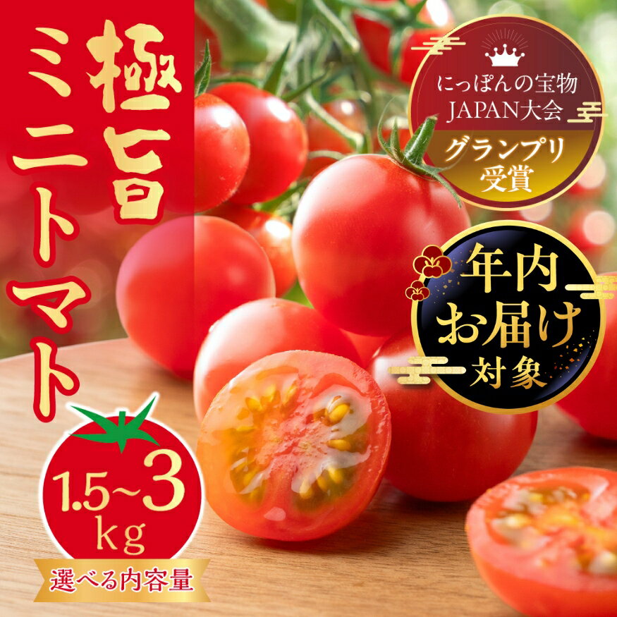 【ふるさと納税】《年内にお届け》グランプリ受賞 極旨 ミニトマト 1.5kg だしの出るトマト 新鮮 完熟トマト 出汁推し実 フルーツトマト 季節限定 健康 トマト 濃厚 とまと 薄皮 入手困難 幻 プチ 先行予約 産地直送 冷蔵 送料無料