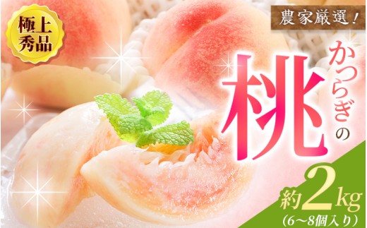 
                  【先行予約】【厳選】あふれる果汁で口いっぱい！ 和歌山県産 桃 約2kg（6個～8個） 【2027年6月20日頃～順次発送予定】（お届け日指定不可）/ 和歌山 桃 モモ フルーツ もも 白桃 果物 くだもの【kgr001B】
                