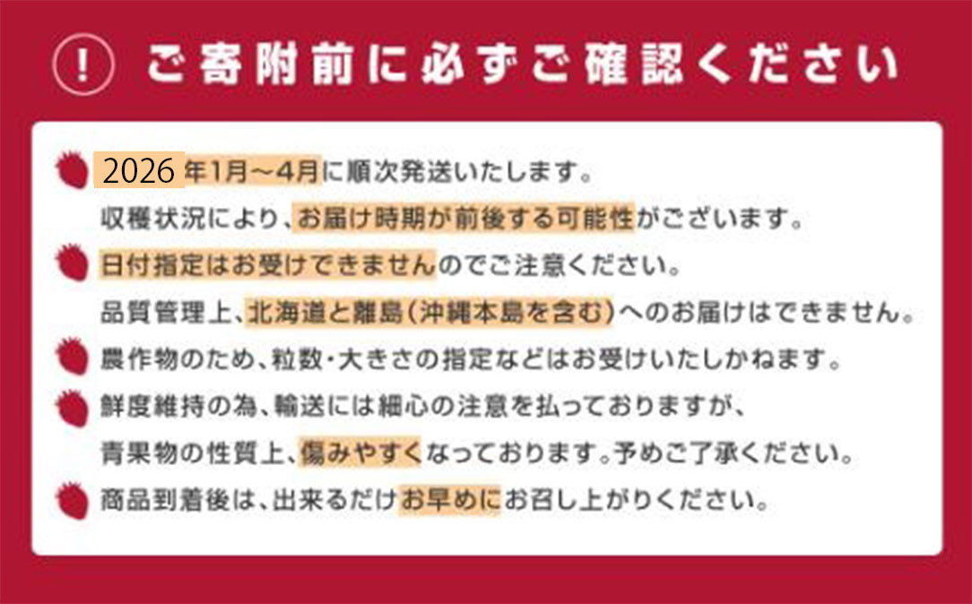 A1381.人気ナンバー1獲得★限定品★あまおう約540g（２０２６年１月以降発送）