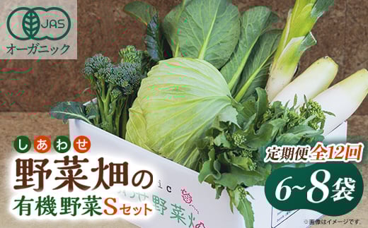 ＜毎月定期便＞しあわせ野菜畑の有機野菜　Sセット　(安心の有機JAS認証　オーガニック野菜)全12回【4065992】