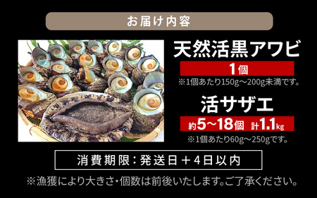 【先行予約】天然 黒アワビ 中サイズ 1個 ＆ 活サザエ 1.1kg 【2026年7月より順次発送予定】素潜り 活 黒あわび サザエ [m17-b006_07]