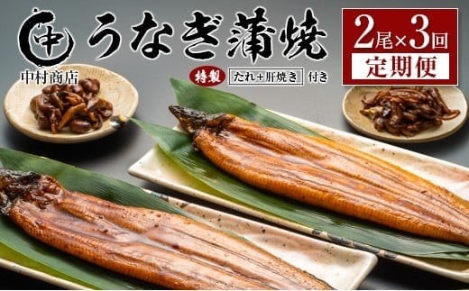 
                  ＜定期便＞2尾×全3回 国産 うなぎ 蒲焼 有頭 計1kg以上（1回あたり 計362g以上） 肝焼き・たれ付き 宮崎県産 鰻 中村商店
                