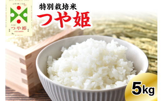 《先行予約》 ※2027年1月発送分※ 【令和8年産】 特別栽培米 つや姫  5kg 〔精米〕