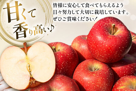 【26年10月下旬～発送】りんご 千雪 約3kg カワムラファーム【贈答用】青森 果物 フルーツ 林檎 リンゴ くだもの