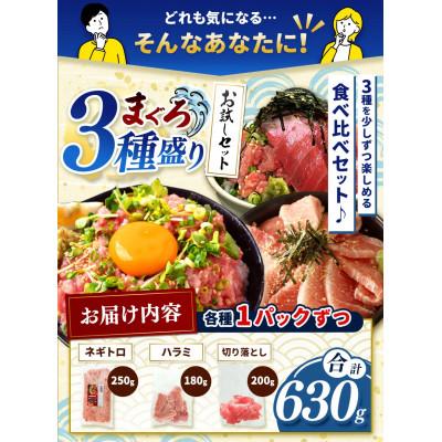 ふるさと納税 君津市 清幸丸水産 大人気 ! 天然まぐろ3種盛り 各1パックお試しセット　★メディアでも紹介 |  | 01