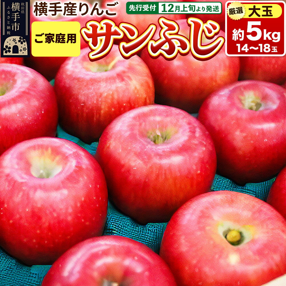 【ふるさと納税】【先行受付】12月上旬より発送 横手市増田産りんご サンふじ【大玉】ご家庭用 約5kg