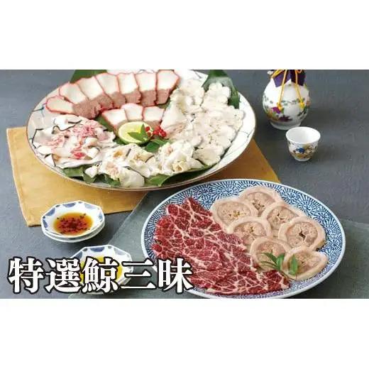 【 特選 】鯨 三昧 クジラ 百尋 尾の身 刺身 ベーコン 中島鯨商店 A234a