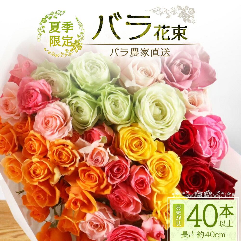 【ふるさと納税】【先行予約・夏季限定 薔薇】ばら農家直送！バラ花束40本以上お届け(色はおまかせ) 【ギフト対応可】TB-8│ローズ 新鮮 花 フラワー 花束 ばら 薔薇 バラ 誕生日 記念日 結婚祝い ギフト プレゼント お祝い 贈り物 贈答 鹿児島県 南大隅町 富田バラ園