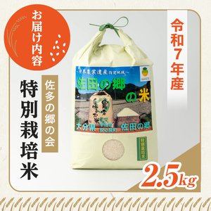 ＜令和7年産＞佐田の郷の米 特別栽培米(2.5kg)お米 白米 ごはん ヒノヒカリ ひのひかり ブランド米 常温 常温保存【111701100】【雅設置プロジェクト　佐田の郷の会】
