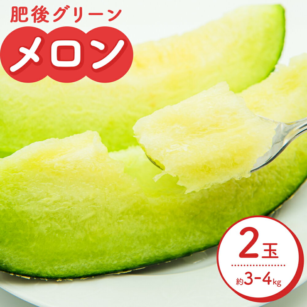 【ふるさと納税】【先行予約】 メロン 肥後グリーンメロン 2玉 約 3kg 〜 4kg 株式会社Foody’s 食彩たかみ 《2026年5月下旬-7月下旬頃出荷》 熊本県 菊池市 フルーツ 果物 メロン 九州産 冷蔵 送料無料