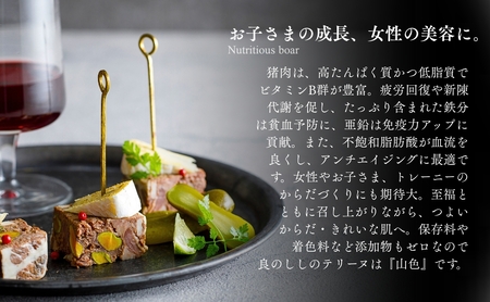 良のししのテリーヌ 1包装（約120g） テリーヌ いのしし ジビエ ギフト 小松市 石川県 【良のしし】