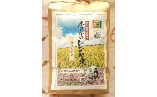 【令和6年度産】ホロかけレンゲ米　特別栽培米　10kg（彩のきずな） ／ 無農薬 おこめ コメ 埼玉県