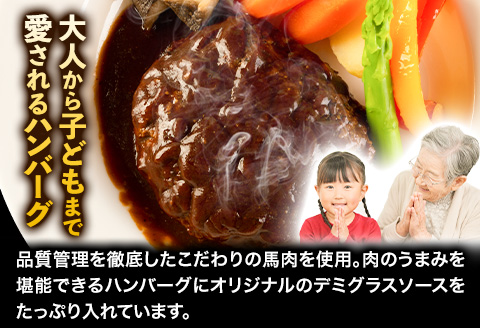 馬肉デミハンバーグ 200g×8個 計1.6kg 千興ファーム 馬肉  《60日以内に出荷予定(土日祝除く)》---sm_fsendemihan_60d_23_13500_8s---