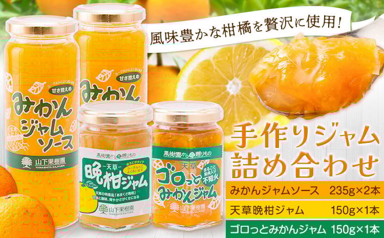 
            果樹園のジャム詰め合わせ フルーツ 果物 《90日以内に出荷予定(土日祝除く)》 くだもの ジャム ソース ジャムソース 柑橘 晩柑 ミカン みかん 手作り セット 熊本県 苓北町 株式会社 山下果樹園
          