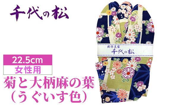 菊と大柄麻の葉（うぐいす色）（女性用：22.5cm） No.371-03