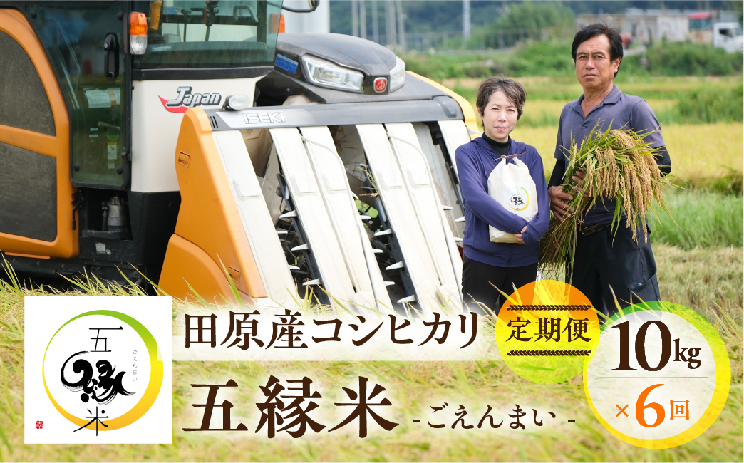 
五縁米10kg　定期便6回　お米 こしひかり ごはん 白米 コシヒカリ 愛知県 田原市 産地直送
