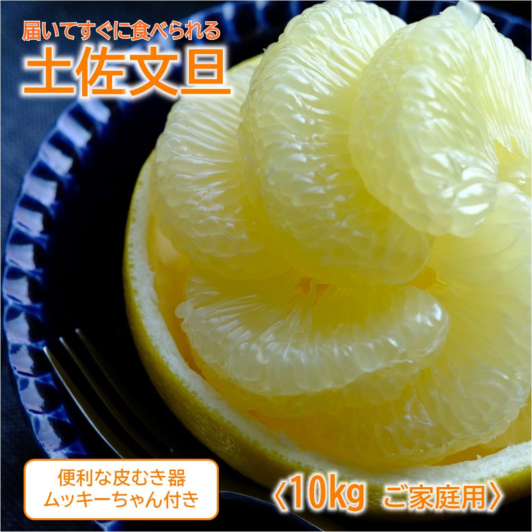 【ふるさと納税】届いてすぐに食べられる 土佐文旦 10kg（ご 家庭用 ） ムッキーちゃん 付き［1463］