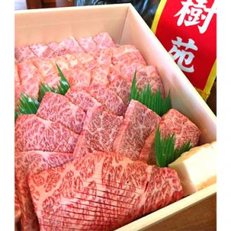 黒毛和牛　上焼肉セット（タレ付き）　1kg///上ロース 上バラ