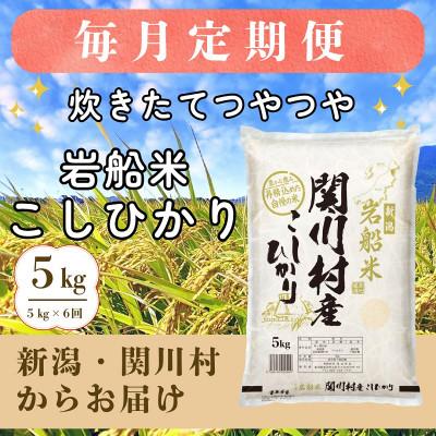 ふるさと納税 関川村 【毎月定期便】炊きたてつやつや 新潟関川村産 岩船米こしひかり　精米 5kg [星山米店]全6回