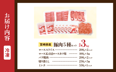 宮崎県産 豚肉 5種 セット (合計3kg) 国産 食品 豚バラ 切り落とし ロース スライス ミンチ 焼肉 BBQ しゃぶしゃぶ 生姜焼き とんかつ ソテー 豚丼 ハンバーグ 個包装 小分け おすす