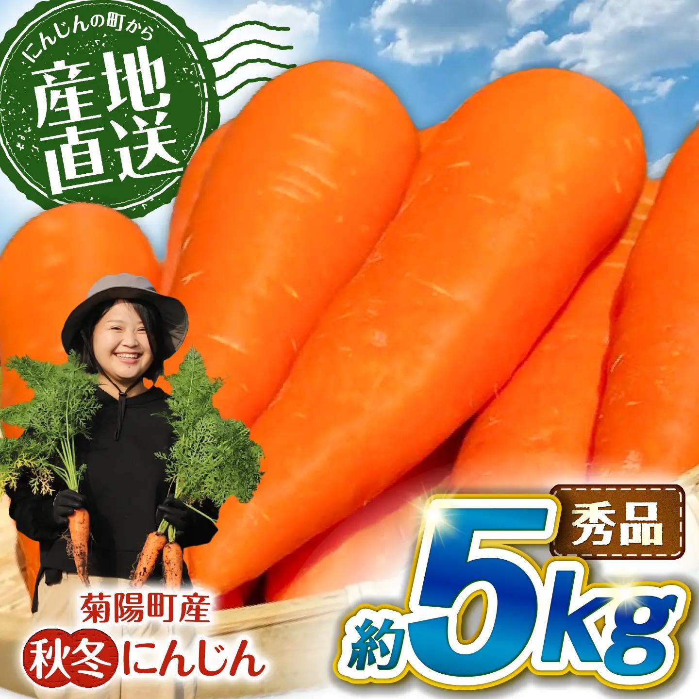 先行予約 2026年11月より順次発送 菊陽秋冬にんじん 秀品 約5kg / にんじん  BHDL004