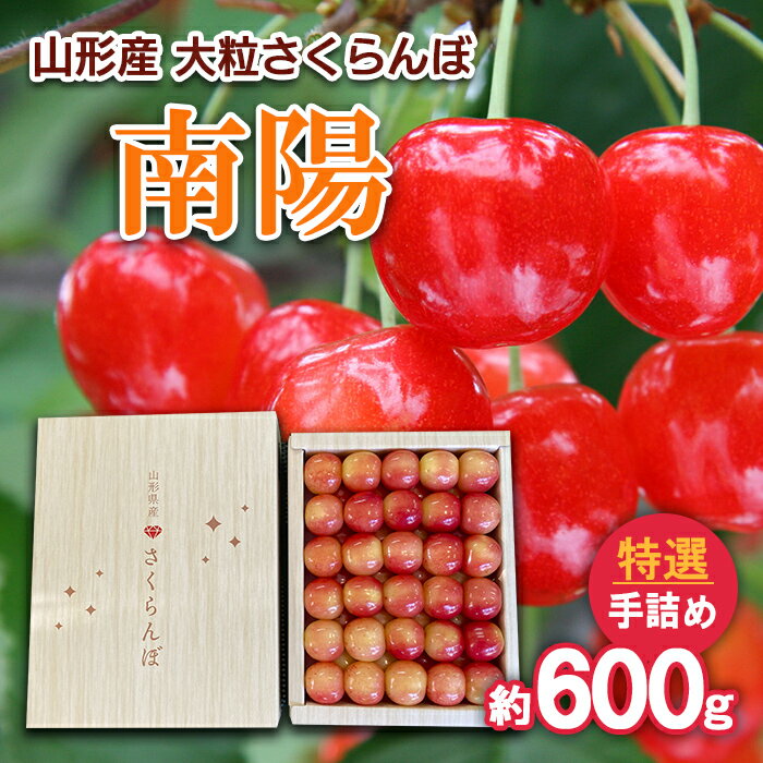 【ふるさと納税】山形産 大粒さくらんぼ 南陽 特選 手詰め 約600g 【令和8年産先行予約】FS25-713 くだもの 果物 フルーツ 山形 山形県 山形市 お取り寄せ 2026年産